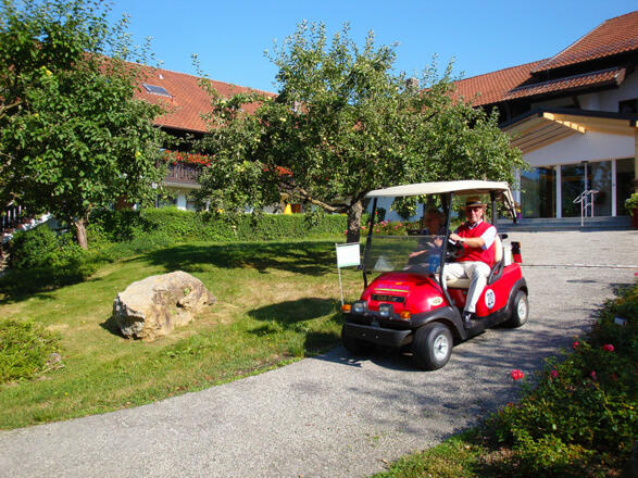 Hauseigene Golfcarts mit Straßenzulassung
