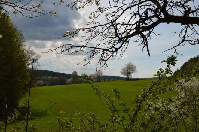 Auf der Jurahöhe bei Neudorf