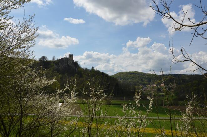 Blick zur Burgruine Neideck