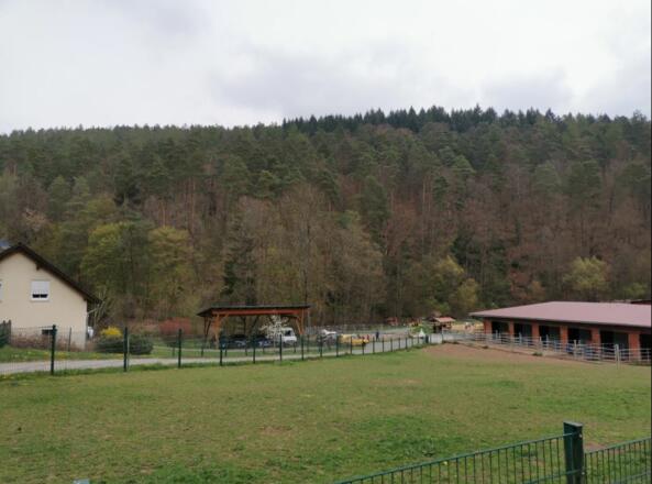 Ponyhof Rippberg
