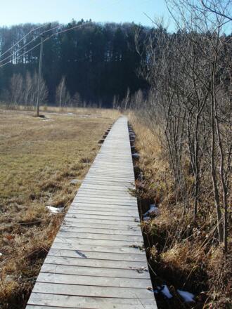 Holzsteg am Bärnsee