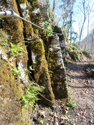 Weg zur Ruine Gutrat