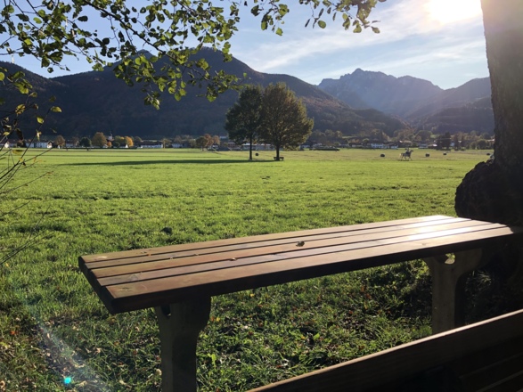 Ruhebank am Waldtierweg