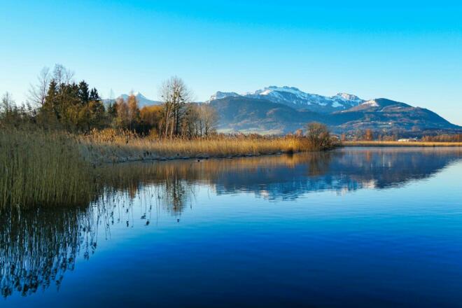 Irschener Winkel Bernau-Felden