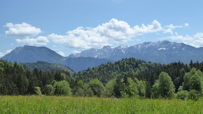 Schwarzenberg Wildgrub