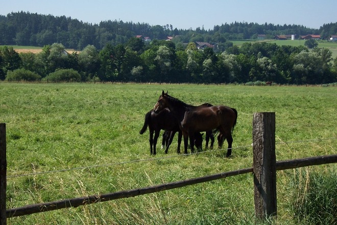 Am Rottalradweg