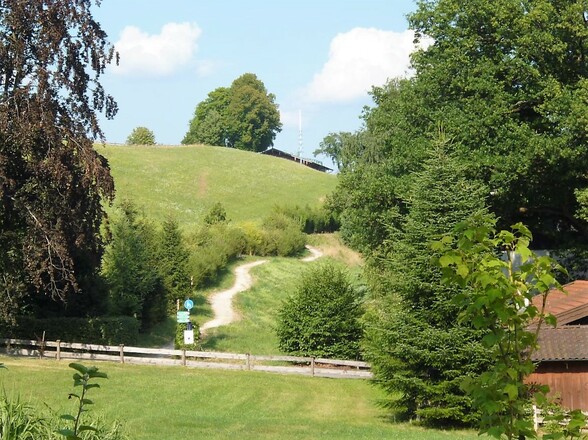 Höfeweg Von der Blüte zum Honig