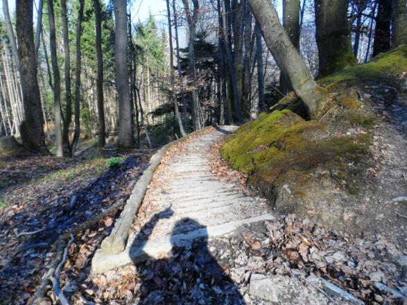Am Weg zur Ruine Gutrat