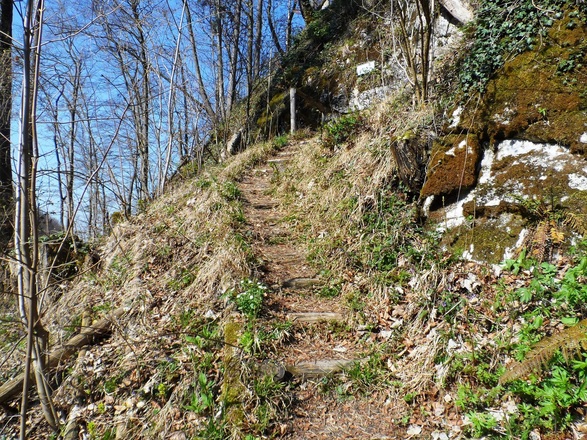 Weg zur Ruine Gutrat