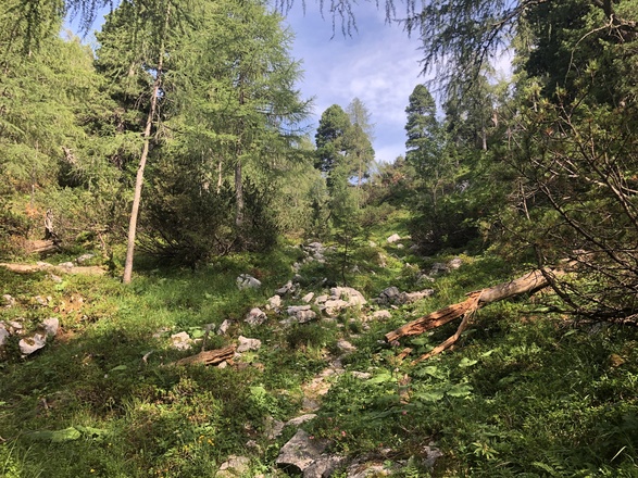 Blick zurück zu Beginn des Abstiegs.
