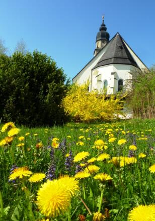 Stiftskirche Seekirchen