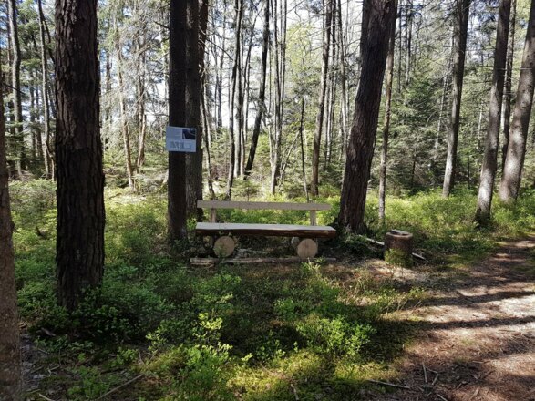 Ruhebank am Keltenweg