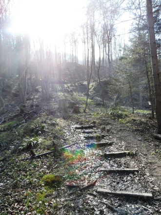 Weg zur Ruine Gutrat