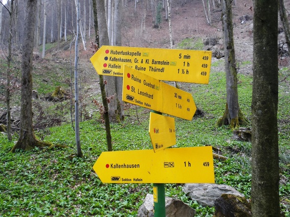 Wegweiser am Weg zur Ruine Gutrat