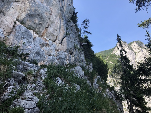 Leiter im Aufstieg zur Scharte, die den schwierigsten Abschnitt entschärft.