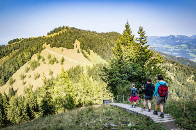 Der bayerische Weg