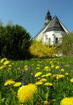 Stiftskirche-Seekirchen