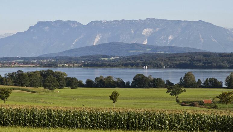 Waginger See