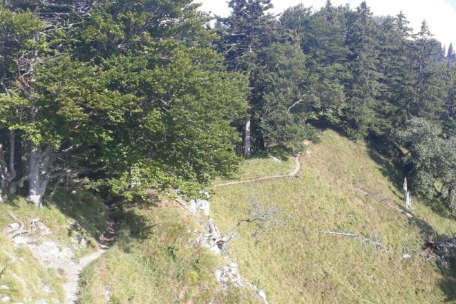 Der Weg zum Heuberggipfel