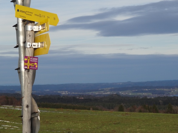 Blick von der Kaiserbuche am Haunsberg