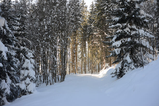 Winterwandern zur Hochalm