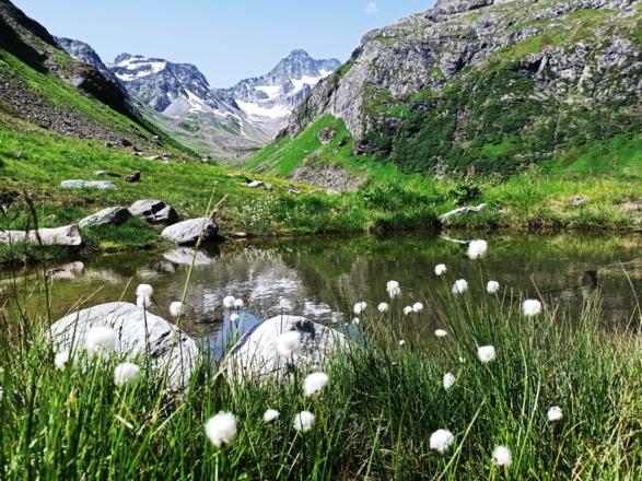 Bergsee