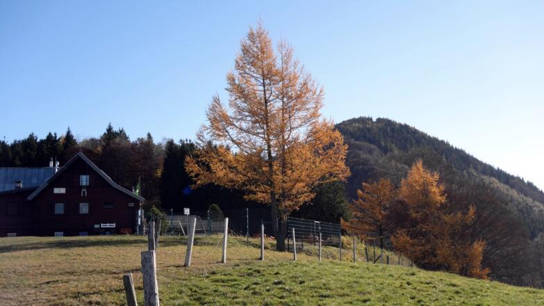 Grünburgerhütte 1080m mit Hochbuchberg