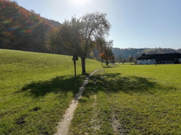 St. Ulrich/Landhotel Eckhard Richtung Dambachtal