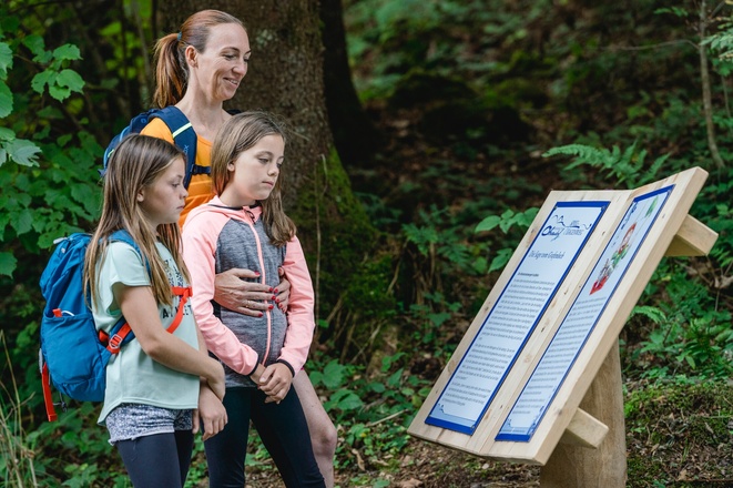 Spiel- und Sagenweg, Sagenbuch im Wald