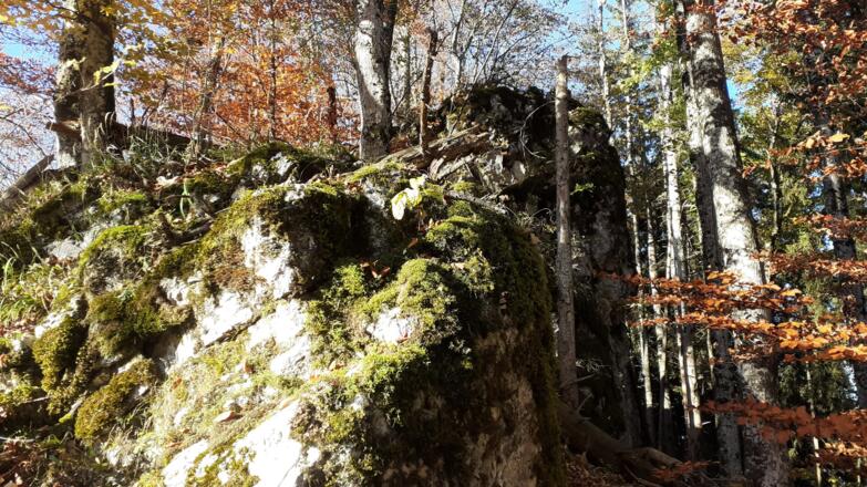 Rieserberg, Gipfelfelsen 870m