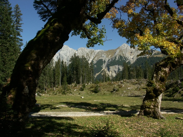 Kleiner Ahornboden im Johannistal