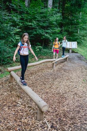 Spiel- und Sagenweg, Balancierbalken