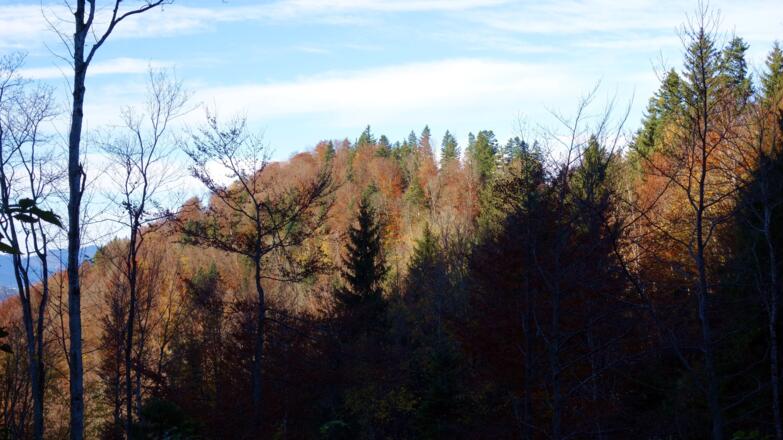 ~840m Rückblick zum Rieserberg vom WEG 480