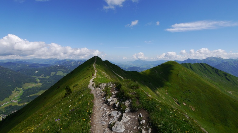 Blick vom Fellhorn auf den sich nach Nordosten fortsetzenden Bergkamm - rechts der Schlappoltkopf