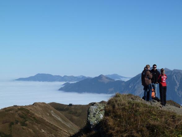 Gipfel des Fellhorns