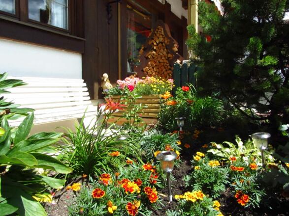 Aussenansicht im Sommer