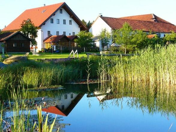 Sommer am Rothstadlerhof