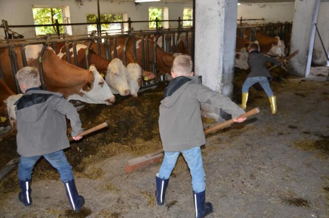 Kinder bei der Stallarbeit