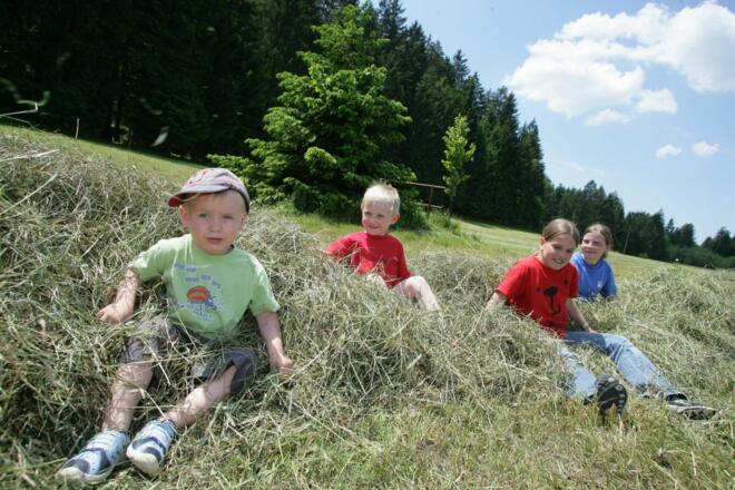 Spaß im Heu