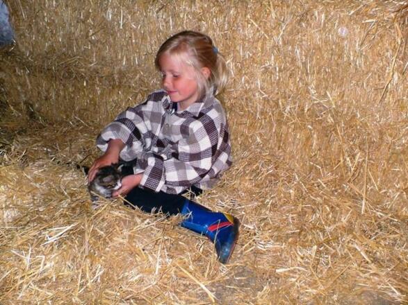 In der Scheune beim Katzenstreicheln