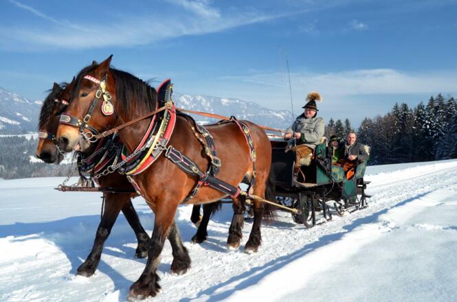 Pferdeschlittenfahrt