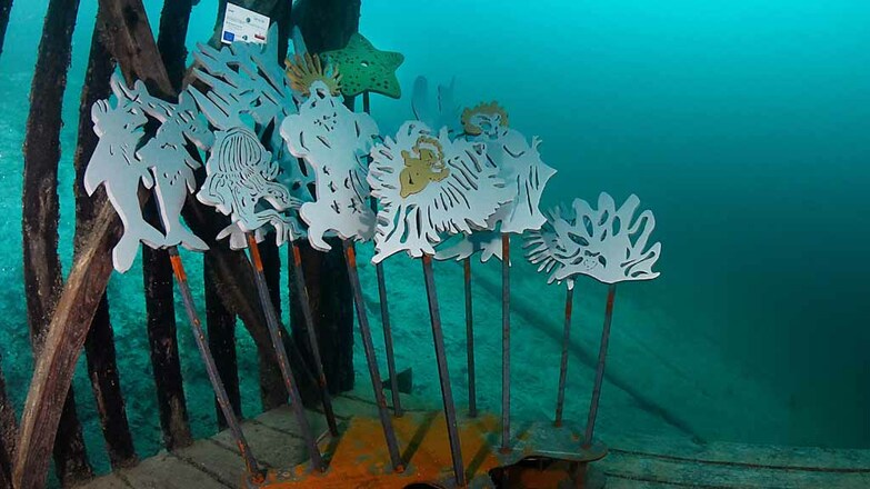 2020-Unterwasserkrippe-Dixie-Weyregg-Angelika (3)tour