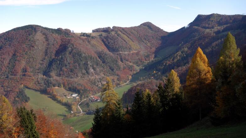 Blick ins Rodatal zum Kruckenbrettl und Seebacherhof