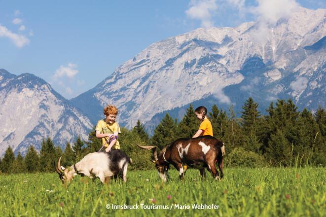 Am Natterer Boden findet sich beim gleichnamigen Gasthaus ein kleines Tierparadies