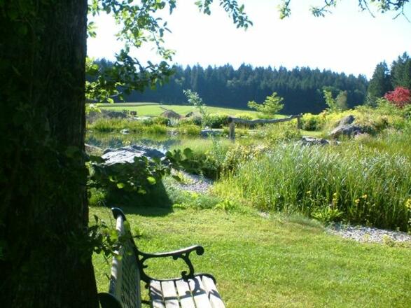 Genießen Sie die Ruhe am Teich