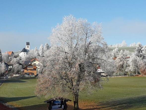 Blick auf Mittelberg