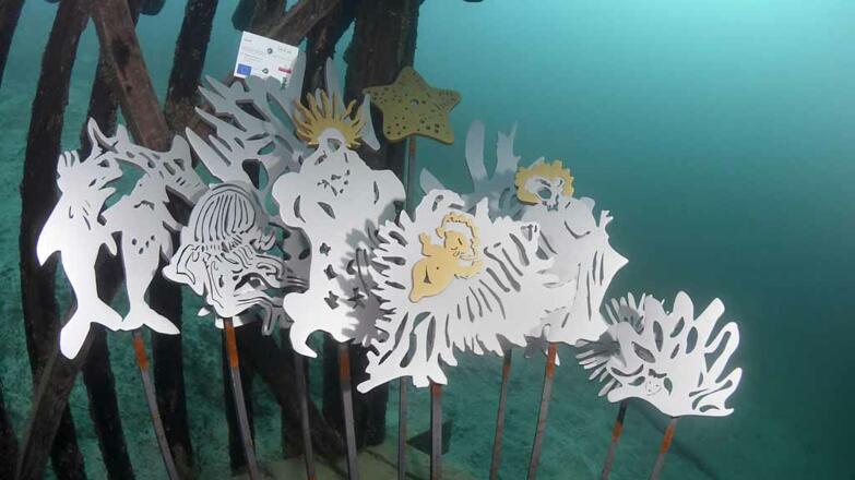 2020-Unterwasserkrippe-Dixie-Weyregg-Angelika (2)tour