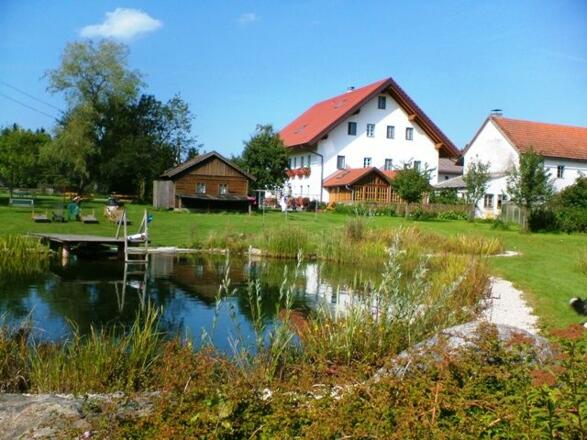 Sommer am Rothstadlerhof