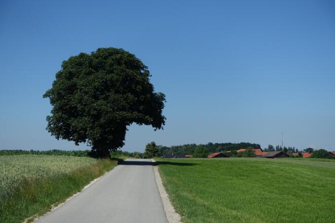 Zwischen Saaldorf und Steinbrünning