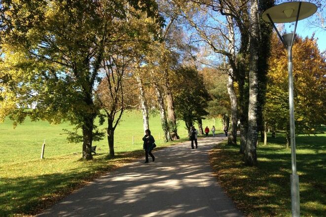 Spazierwege auf der Insel